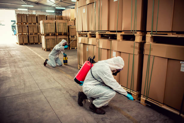 Best Affordable Pest Control Services  in Wimauma, FL
