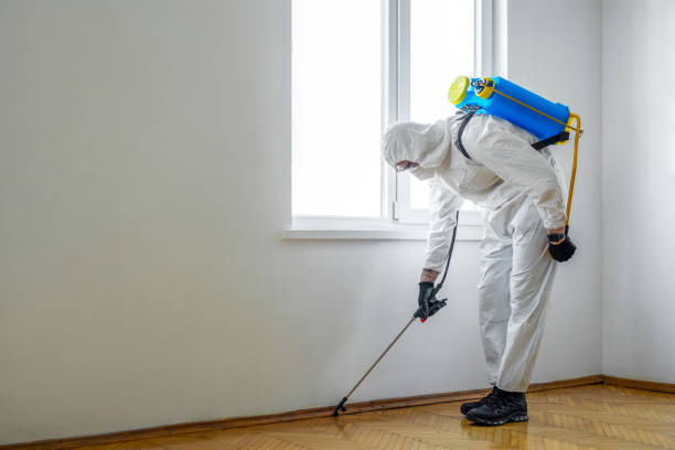 Best Mosquito Control Services  in Wimauma, FL