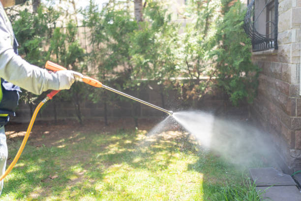 Best Best Pest Control Companies  in Wimauma, FL