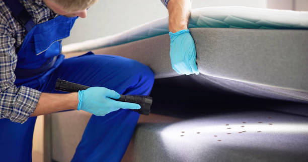 Best Cockroach Control Services  in Wimauma, FL